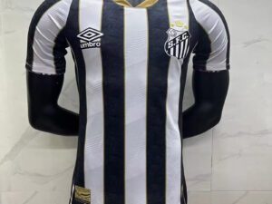 santos versao jogador