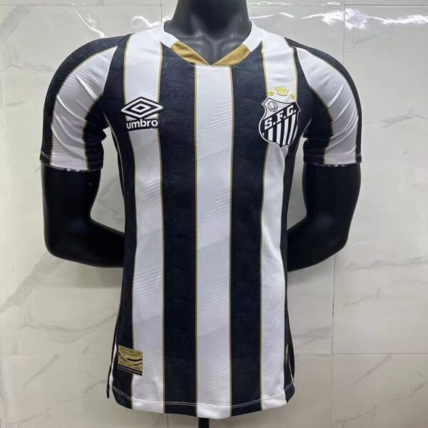 santos versao jogador